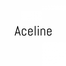 Сервисный центр Aceline в Воронеже
