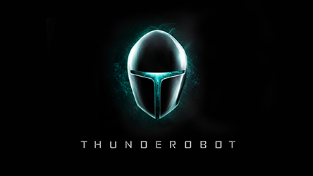Ремонт ноутбука Thunderobot