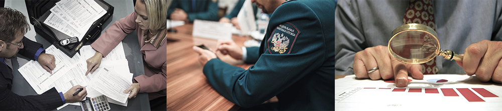 Налоговая экспертиза