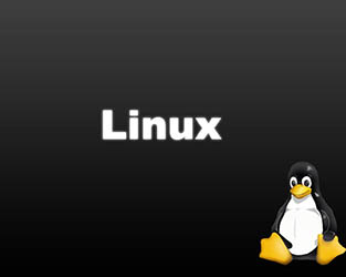 Установка и настройка Linux Воронеж